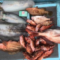 釣船 浦島太郎 釣果