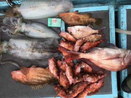 釣船 浦島太郎 釣果