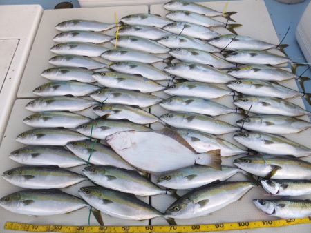 Hit Rush(ヒット ラッシュ） 釣果…