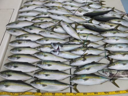 Hit Rush(ヒット ラッシュ） 釣果…