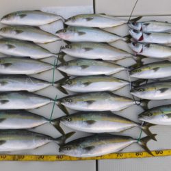 Hit Rush(ヒット ラッシュ） 釣果