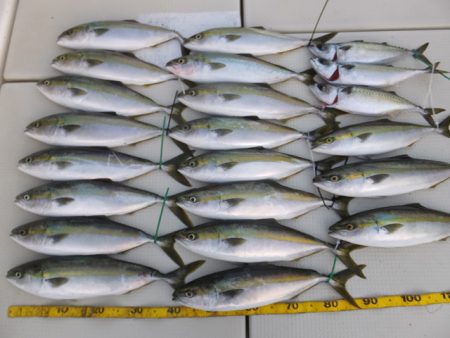 Hit Rush(ヒット ラッシュ） 釣果…