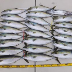 Hit Rush(ヒット ラッシュ） 釣果