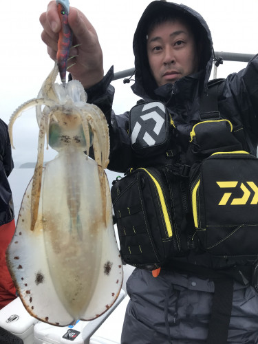 釣船 浦島太郎 釣果