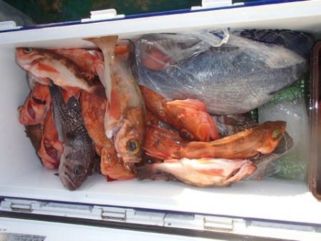 第二むつ漁丸 釣果