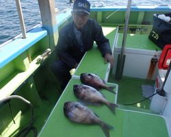 久里浜黒川本家 釣果