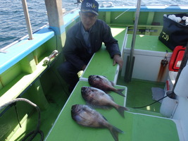 久里浜黒川本家 釣果
