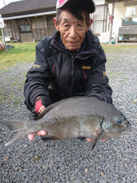 千津丸 釣果