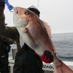 ジギング船 BLUEWATER 釣果