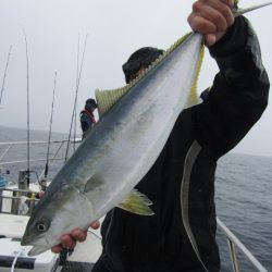 ジギング船 BLUEWATER 釣果