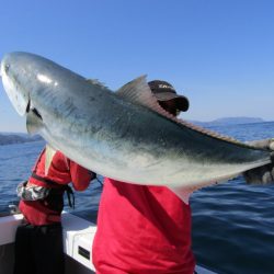 ジギング船 BLUEWATER 釣果