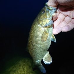 平成最後の釣りで…