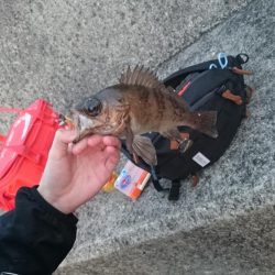 自己新達成メバリング♪