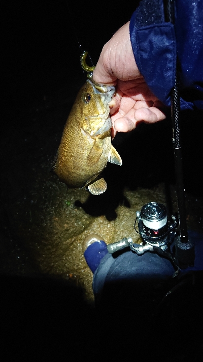 平成最後の釣りで…