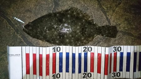 今夜もメバル狙い！！