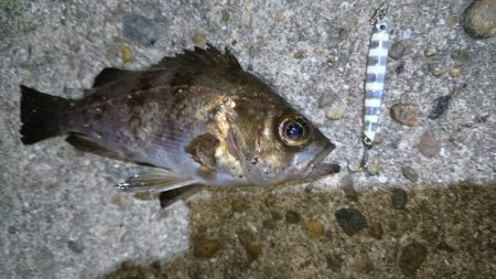 今夜はきびしい~