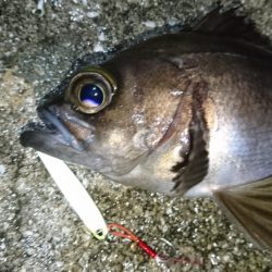 雨の中出撃！！