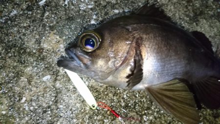 雨の中出撃！！