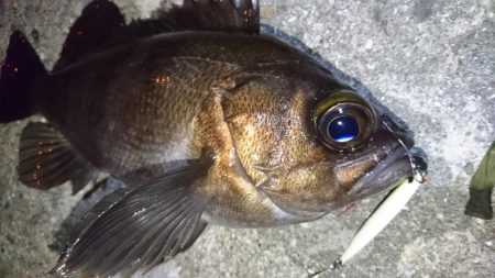 今夜は活性高め？！