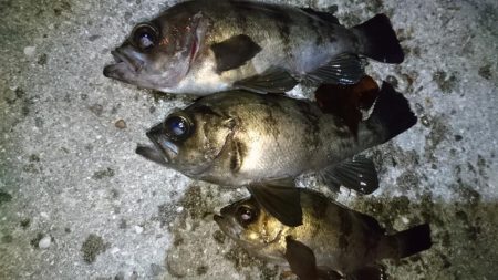 爆風X向かい風Xメバリング