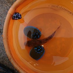 タイミング悪い