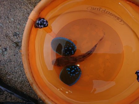 タイミング悪い