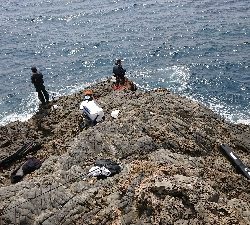 安岡渡船 ハシガハエ