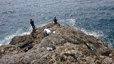 安岡渡船 ハシガハエ