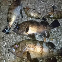 雨の中出撃！！