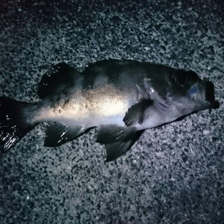 自己新達成メバリング♪