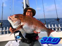 オーシャンマスター 釣果