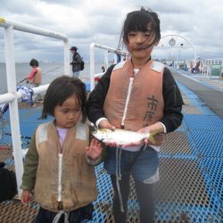 オリジナルメーカー海づり公園(市原市海づり施設) 釣果
