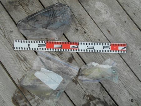 こかわ渡船　雅丸 釣果