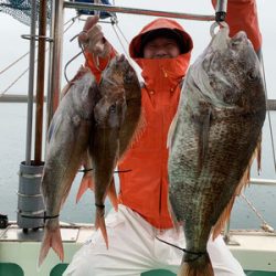 さんさん丸 釣果