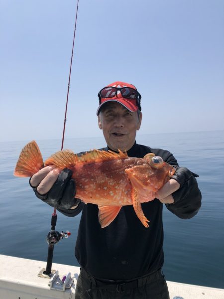 リトルワン 釣果