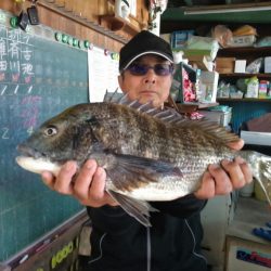 ふじや釣舟店 釣果