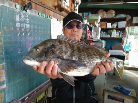 ふじや釣舟店 釣果