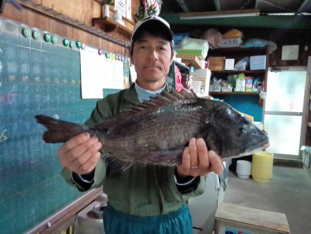 ふじや釣舟店 釣果