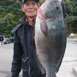 千津丸 釣果