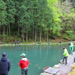 小菅トラウトガーデン 釣果