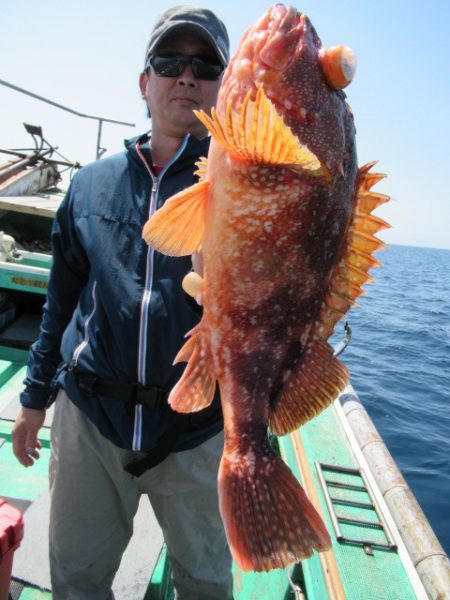 真祐丸 (しんゆうまる) 釣果