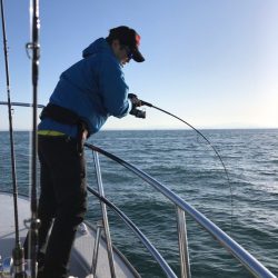 ビッグファイター 釣果