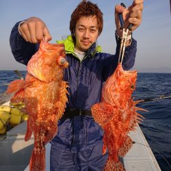 エンペラー 釣果