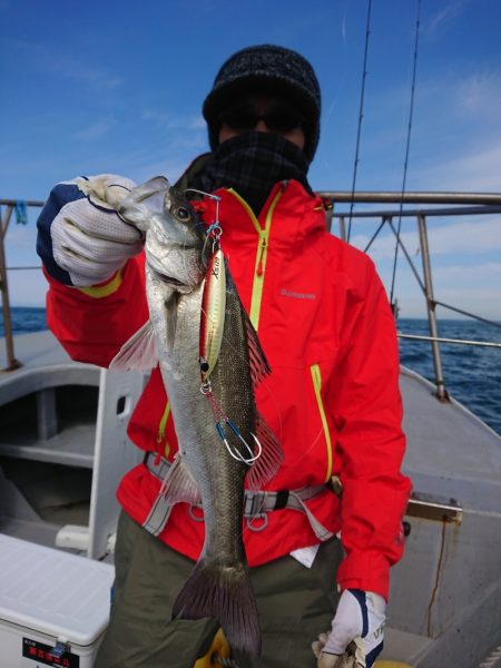 ありもと丸 釣果