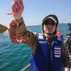 ありもと丸 釣果