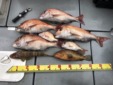 sea boss シーボス 釣果