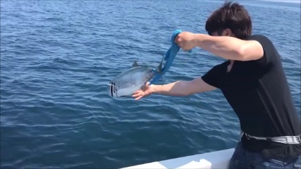 sea boss　シーボス 釣果