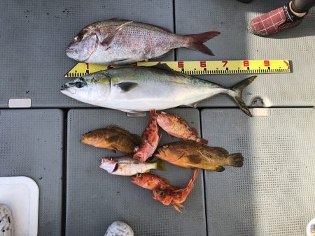 sea boss　シーボス 釣果