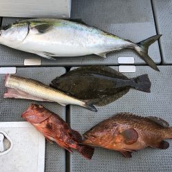 sea boss　シーボス 釣果