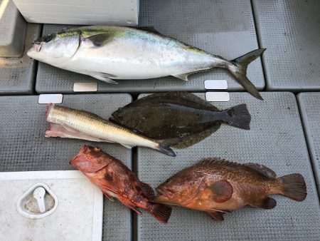 sea boss　シーボス 釣果